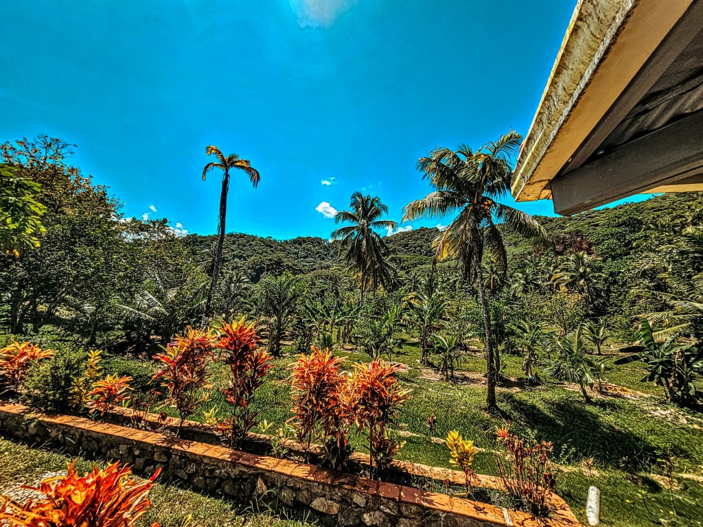 Portobelo, Colon, PA/Sunfired&nbsp;Farms