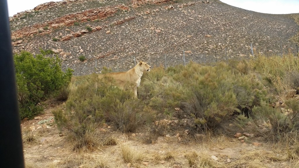 Cape Town, South&nbsp;Africa